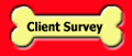 ClientSurvey