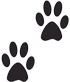 Paw Prints
