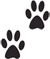 Paw Prints