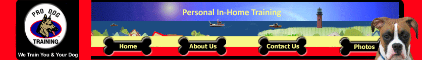 Pro Dog Header